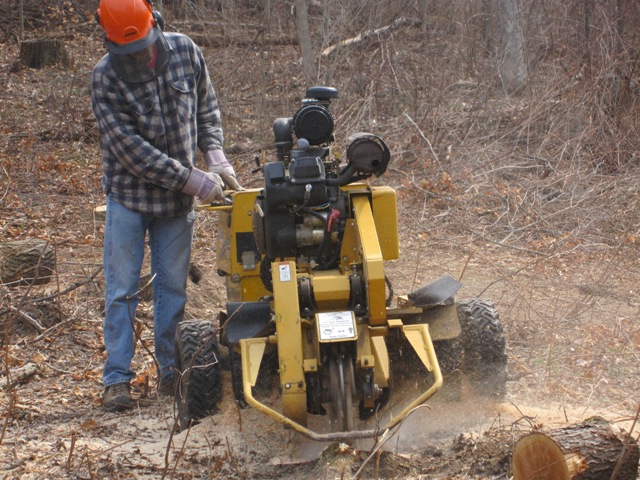 Brush Clearing