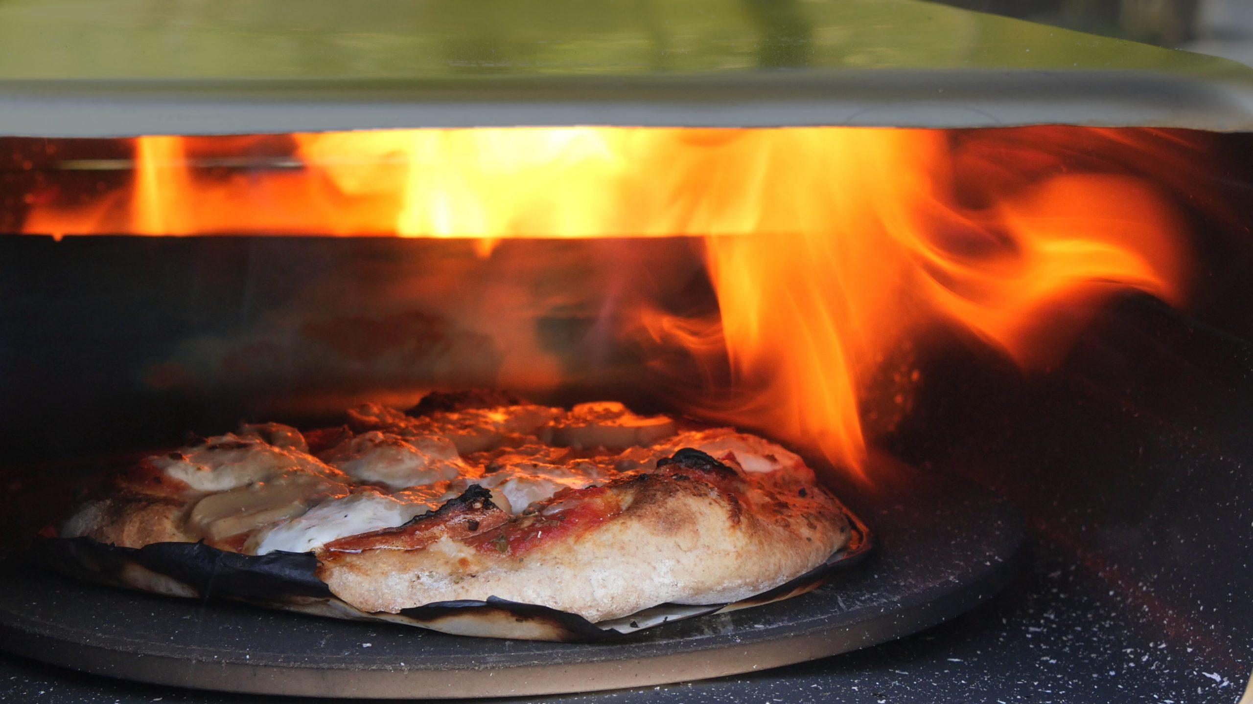 Portable Wood Fired Pizza Oven